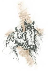 Zeichnung Pferde